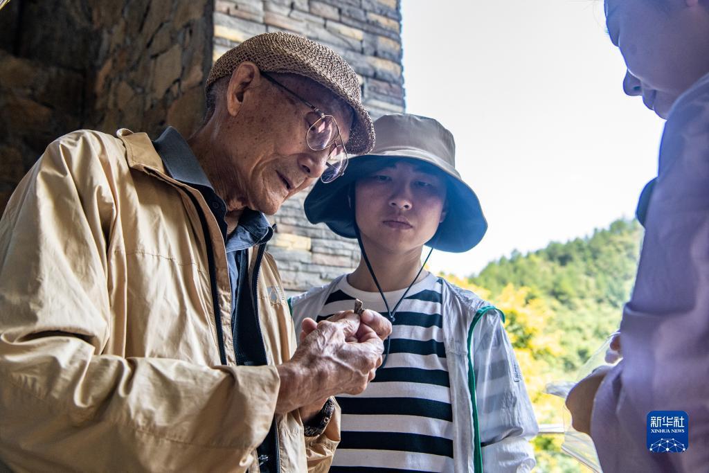 银河奇异果电脑版下载